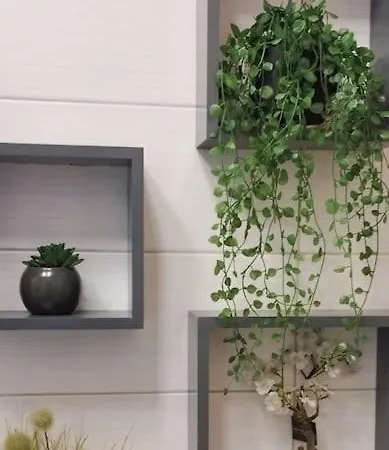 Cet été à Cannes, Cosy à 8' De La Croisette *